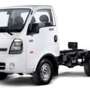 Bongo em Porto Alegre